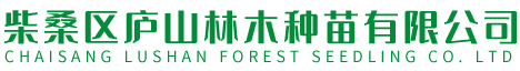 九江市普天下文化傳媒有限公司